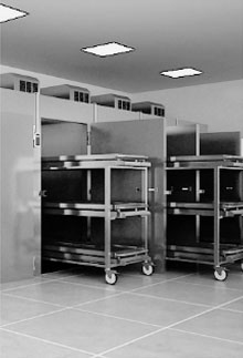 Our Products